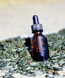 Sea Moss Hair Oil