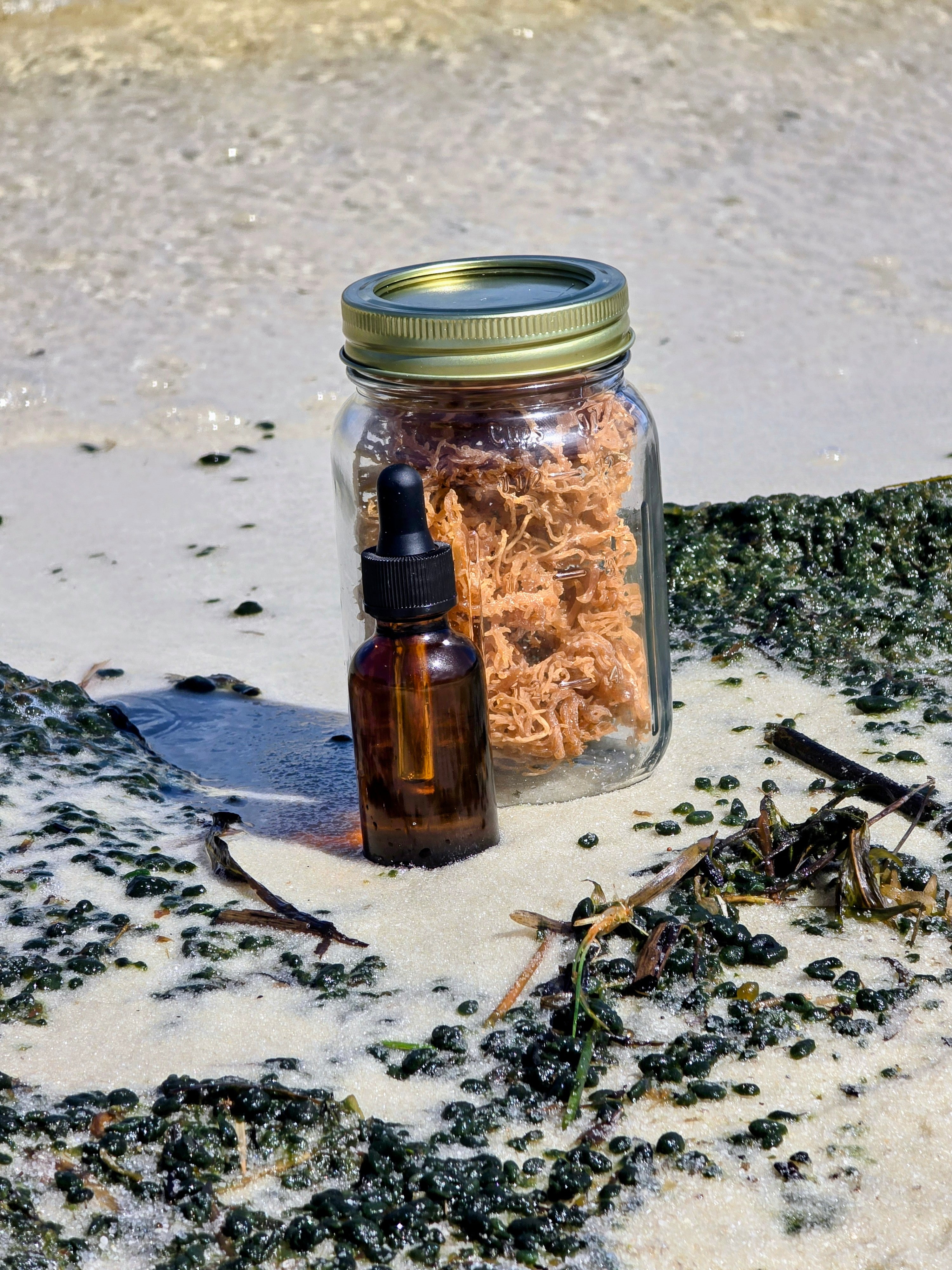 Sea Moss Hair Oil